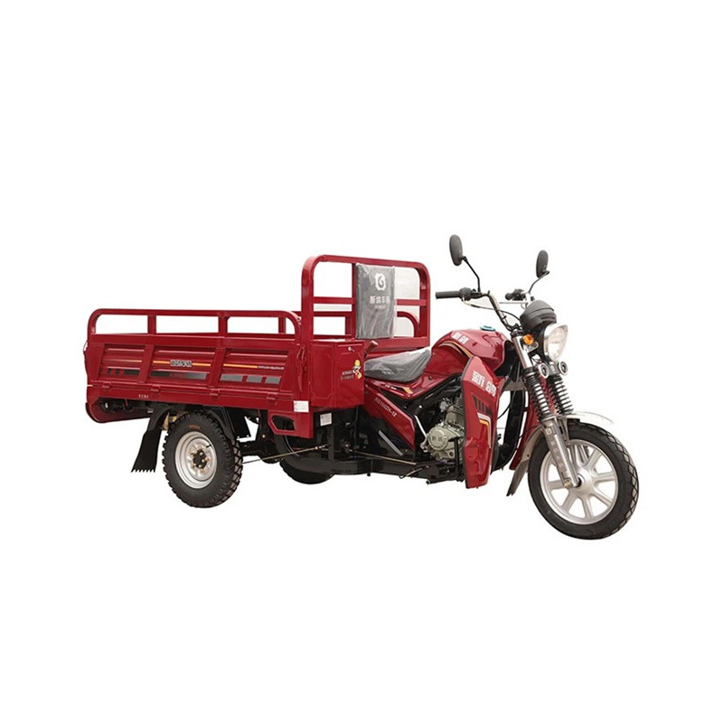 150cc vuxna drivs passagerare 3 hjul Cargo Tricycle